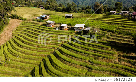 Aerial view of Rice terrace at Ban pa bong piang in Chiang mai Thailand Aerial view of Rice terrace at Ban pa bong piang in Chiang mai Thailand 96172228