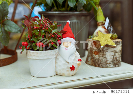 Decoration pot with santa claus and Gaultheria Procumbens - WIntergreen 96173311