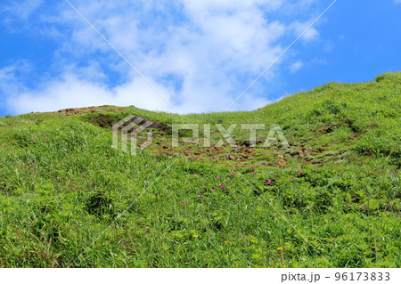 北海道紀行　スカイ岬　礼文島 96173833