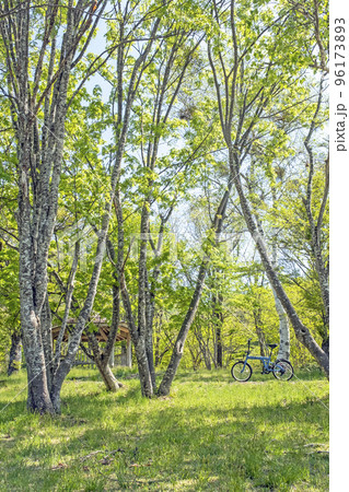 新緑・初夏のサイクリングイメージ(奥大山) 新緑・初夏のサイクリングイメージ(奥大山) 96173893