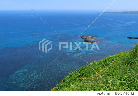 北海道紀行　スコトン岬の周辺地域　礼文島 96174042