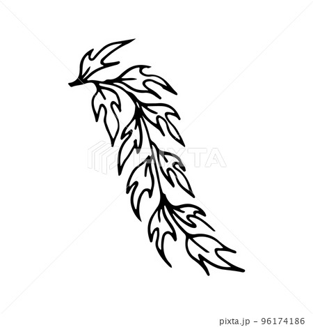 leaves, dooddle, lineart, vector, illustration, hand drawing 96174186
