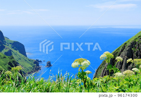 北海道紀行 桃岩展望台 礼文島 北海道紀行 桃岩展望台 礼文島 96174300