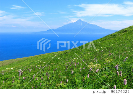 北海道紀行 桃岩展望台 礼文島 北海道紀行 桃岩展望台 礼文島 96174323
