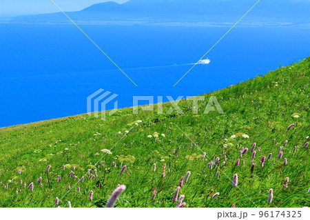 北海道紀行　桃岩展望台　礼文島 96174325