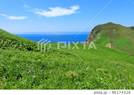 北海道紀行　桃岩展望台　礼文島 96174326