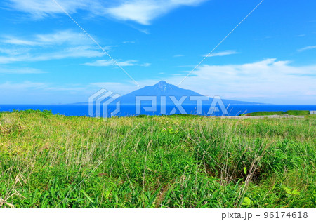 北海道紀行　北のカナリアパーク　礼文島 96174618