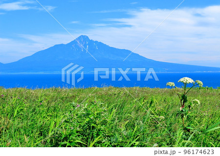 北海道紀行 北のカナリアパーク 礼文島 北海道紀行 北のカナリアパーク 礼文島 96174623