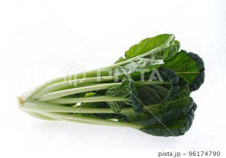 ターサイ　中国野菜 96174790