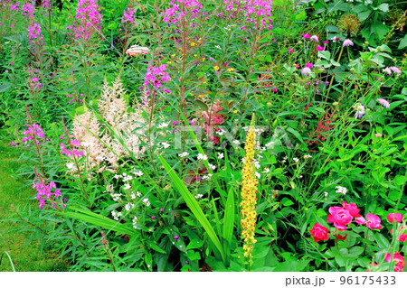 北海道紀行　7月の上野ファーム　午前のガーデン 96175433