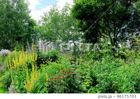 北海道紀行　7月の上野ファーム　午前のガーデン 96175703