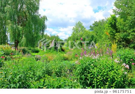 北海道紀行　7月の上野ファーム　午前のガーデン 96175751