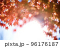 もみじの紅葉 96176187