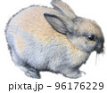 2023年年賀状賀詞素材及び部品　子ウサギのPHOTカット 96176229