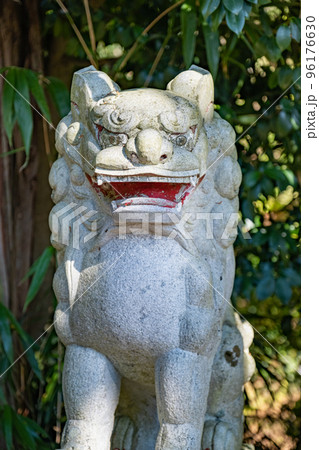日谷神社 狛犬 鳥取県日野郡日南町笠木 日谷神社 狛犬 鳥取県日野郡日南町笠木 96176630