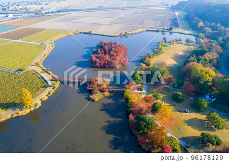 ドローン撮影|紅葉が美しくキャンプもできる曽根沼公園|滋賀県彦根市 ドローン撮影|紅葉が美しくキャンプもできる曽根沼公園|滋賀県彦根市 96178129