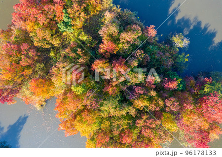 ドローン撮影|紅葉が美しくキャンプもできる曽根沼公園|滋賀県彦根市 ドローン撮影|紅葉が美しくキャンプもできる曽根沼公園|滋賀県彦根市 96178133