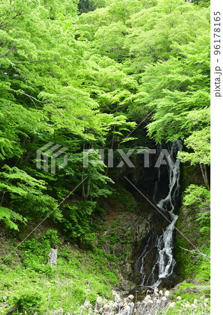 山岳地帯の新緑の中で流麗に流れる絹のような白く細い滝 96178165