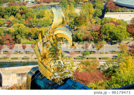 大阪府大阪市　大阪城天守閣の屋根上の金のしゃちほこ 96179473