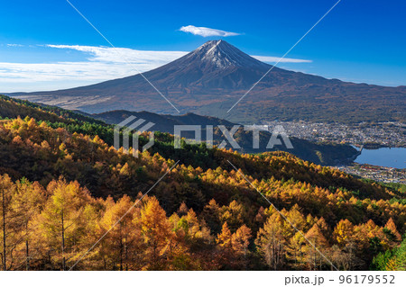 秋のカラ松の山並みと富士山 秋のカラ松の山並みと富士山 96179552