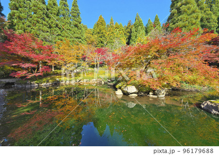 錦秋の越前大仏 錦秋の越前大仏 96179688