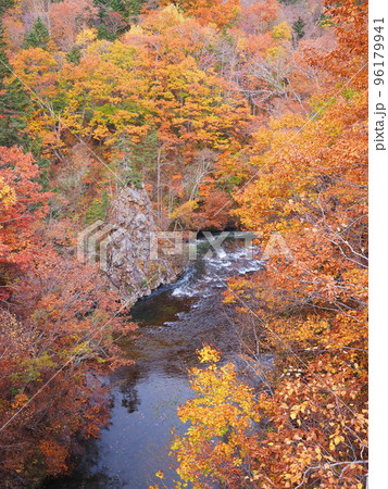 北海道の絶景 定山渓時雨橋からの紅葉風景 北海道の絶景 定山渓時雨橋からの紅葉風景 96179941