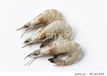 芝エビ 96181069