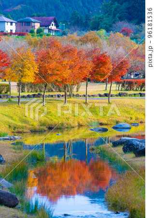 宮ケ瀬湖の秋 96181536