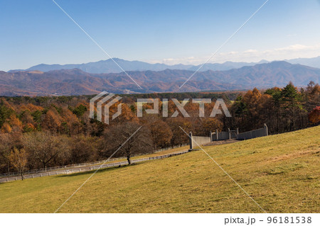 山梨県立まきば公園 八ヶ岳牧場 山梨県立まきば公園 八ヶ岳牧場 96181538