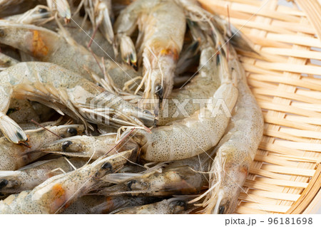 芝エビ 芝エビ 96181698