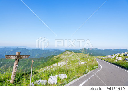 愛媛県　新緑が美しい四国カルストと尾根を通る横断道路（2022年撮影） 96181910