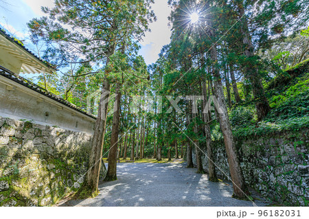 秋の飫肥城跡 宮崎県日南市 秋の飫肥城跡 宮崎県日南市 96182031