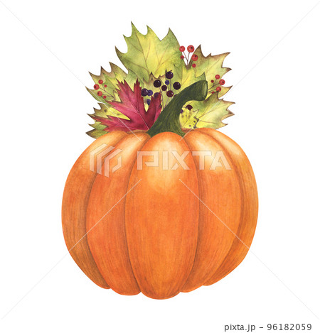 Ripe orange pumpkin, maple, poplar leaves and berries watercolor isolated on white. Hand drawn illustration for design 96182059