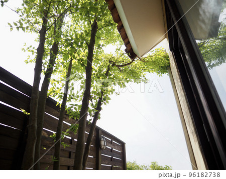 南欧風アーチ扉のある中庭　ウッドフェンスにテラコッタの床のパティオ　ヤマボウシの木と新緑の 96182738