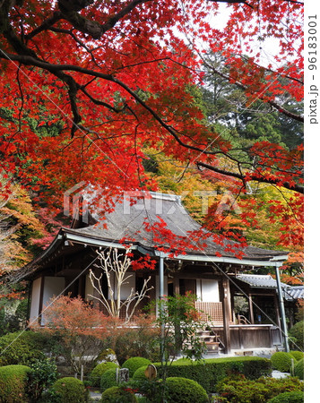 京都大原寂光院の紅葉 京都大原寂光院の紅葉 96183001
