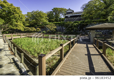 舞鶴公園　福岡城跡　花菖蒲園　福岡県福岡市 96183452