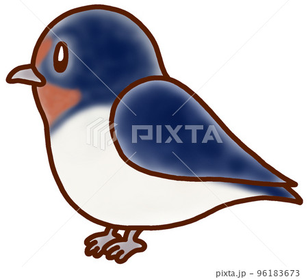 ゆるくてかわいい野鳥イラスト ツバメ ゆるくてかわいい野鳥イラスト ツバメ 96183673