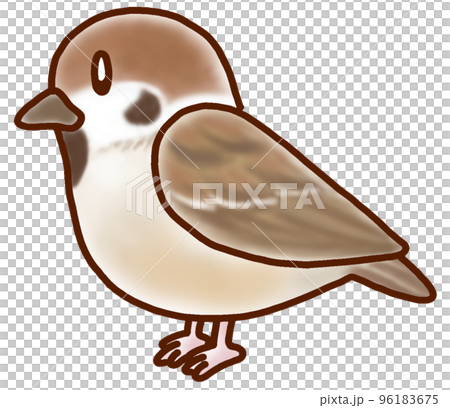 鬆散可愛的野鳥插畫麻雀 96183675