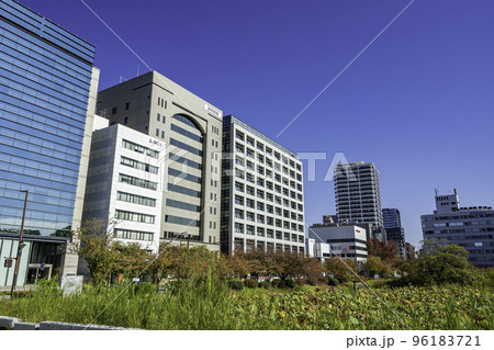 舞鶴公園 福岡城跡 平和台お堀沿い 福岡県福岡市 舞鶴公園 福岡城跡 平和台お堀沿い 福岡県福岡市 96183721