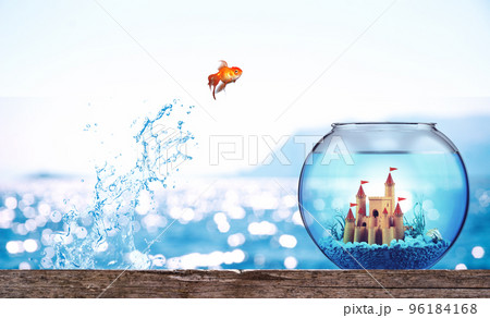 Goldfish leaps from the sea to go to a luxurious aquarium with castle 96184168