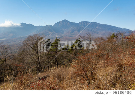 野辺山高原　平沢峠から見る八ヶ岳 96186486