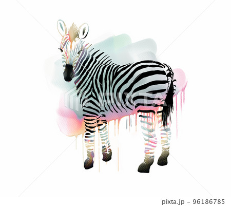 Fancy Zebra with Colorful Stripes 96186785