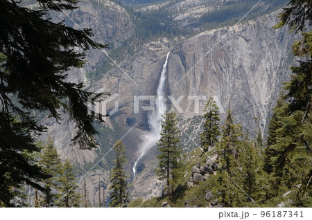 アメリカ・初夏のヨセミテ旅行 96187341
