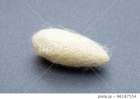 桑子の繭(まゆ) 桑子の繭(まゆ) 96187554