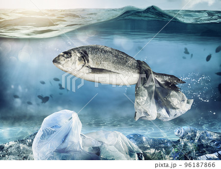 Trapped fish by a floating bag. Problem of plastic pollution under the sea concept 96187866