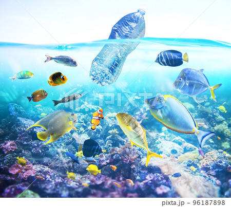Fishes watch a floating bottle. Problem of plastic pollution under the sea concept. 96187898