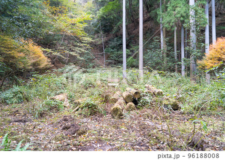 浄発願寺の本丸跡（丹沢大山国定公園） 96188008