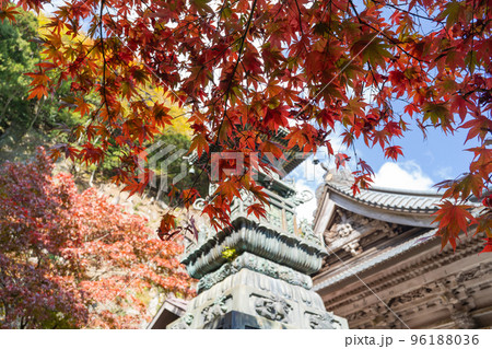 大山不動尊の紅葉（丹沢大山国定公園） 96188036