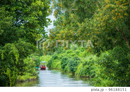 Mangrove forest along canal river with blur boat, Chanthaburi Mangrove forest along canal river with blur boat, Chanthaburi 96188151