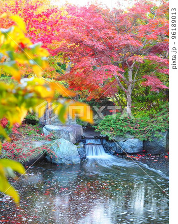 北海道の絶景 平岡樹芸センター紅葉と滝風景 北海道の絶景 平岡樹芸センター紅葉と滝風景 96189013